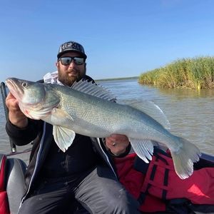 Meet your Posher, Steve